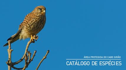 Catálogo de Espécies da Área Protegida Do Cabo Girão