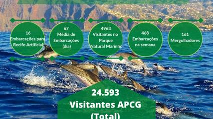 Projeto GIRO confirma uma média de 709 visitantes/dia no mar!